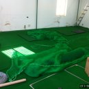 윈골프연습장 이미지