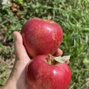 오시롬 농장 이미지