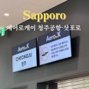 352 | 청주공항 삿포로 에어로케이항공 후기: RF352, RF355 편명