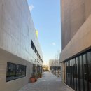 카페 더테이블 | 강릉 | 신라 모노그램 더 그로브 테이블 신상 카페 '모뉴먼트' 후기