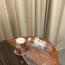반년도 지나 올리는 (매우 늦은) 캐세이퍼시픽 세이프티 트레이닝 후기