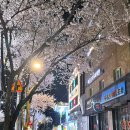 서울일원동우체국