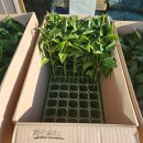 진주팜농약 이미지