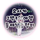 구계목도 | 오사카 2박3일 여행 둘째날 총정리!(교토당일치기일정)