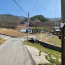 태화농장 2 이미지