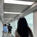 714 | 대만/타이베이 | 아시아나항공 인천(ICN) T2 -타오위안(TPE) T2 OZ711·OZ714 기내식 좌석 후기