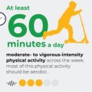 튼튼태권도 이미지