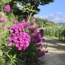 시곡3리 마을회관 이미지