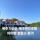 남외어린이도서관 | 제주 가성비 5성급 호텔 추천, 아이와 다녀온 에코랜드호텔 후기