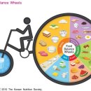 디엔엘고 이미지