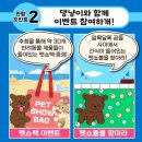 빨리펫 이미지