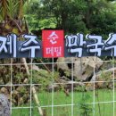 돌담막국수 이미지