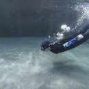 씨유프리다이빙 이미지