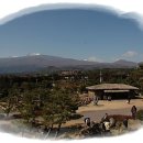 매화공원 광장 이미지