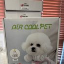 쿨쿨펫 | 애견 선풍기 50% 할인 하네요!!