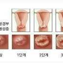 강영미산부인과 이미지