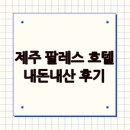 제주팔레스호텔 | [제주여행] 제주 팔레스 호텔 내돈내산 후기
