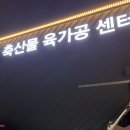 자인백반 | 경산 소고기 도축장 옆이라 가성비 대박 자인가든 식육식당 경산본점
