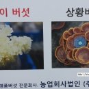 농업회사법인아람농장(주)