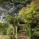 미니목장 이미지