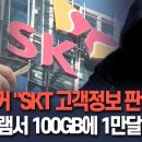 국제 해킹조직 SKT 고객정보 판매 주장…텔레그램에 100GB 샘플 1만달러 판매 게시 이미지