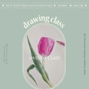 보태니컬아트 | 소현쌤의 보태니컬아트 원데이클라스 참여 후기