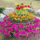 반기문평화랜드 이미지