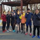 청량산 임도1 이미지