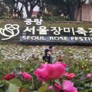 장미 | 봄날의 기억/제17회 중랑 서울장미축제 후기｜송가인 콘서트부터 장미 걷기까지 감동이 가득했던 하루