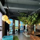 크레이쥬 이미지