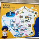 논골담길3 | 묵호여행 만족했던 하루코스 일정(+여행후기+논골담길+여행책방 잔잔하게)