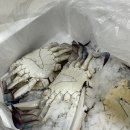 영오헬스 이미지