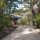 석장승(남장사) 이미지