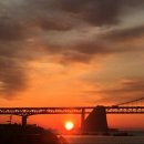 새벽공인중개사사무소 이미지