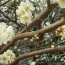 내서읍보건지소 이미지