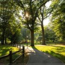 석정어린이공원 이미지