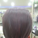 향기나라 이미지