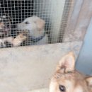 디모데농장 이미지