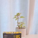 땀박골 | 빨래 쉰내 제거 방법 땀쟁이의 운동복 땀냄새 퇴치꿀템 런드리서핑 세제 사용후기