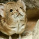 코끼리PC방 이미지