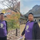 단풍두부 이미지