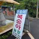 세풍농장 네이버블로그
