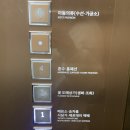 고터 꽃도매상가 크리스마스 마켓 트리 구매 후기