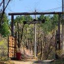 삼부자목장 | [노섬브리아캠핑장] 싸이트 전체가 프라이빗하고 산속 느낌의 캠핑장 / 첫째날