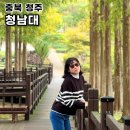 청남대 진입로 | 청주 효도관광지 청남대 오각정길 코스 예약 입장료 주차장