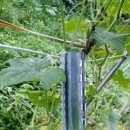 방자농장 이미지