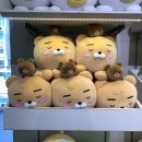 핑크버니 | flortte 에스더버니 콜라보 핑크 파우더 무펄 하이라이터 사용 후기