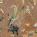 옥천묵집 이미지