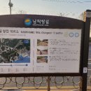 내포여성경로당 | 남파랑 10코스(마산항 입구~구서분교앞 사거리), 남파랑 11코스(구서분교앞 사거리~암아교차로)-벚꽃...