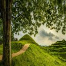 함안 말이산고분군 이미지